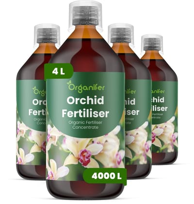 Vloeibare Meststof Voor Orchideeën 4X1 L Voor 4000 L - Verbetert De Bloeiprestaties Bij Alle Orchideeënsoorten - Versterkt Het Wortelstelsel Inclusief Luchtwortelontwikkeling - Ondersteunt Knopvorming En Verlengt De Bloeiduur - Organifer