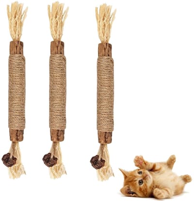 Dailygoody - Kattenkruidstokken - Tandverzorging - 3 stuks - Gezonde adem - Kattenkauwhoutsticks - Tandsteen verwijderen - Geschikt voor katten -