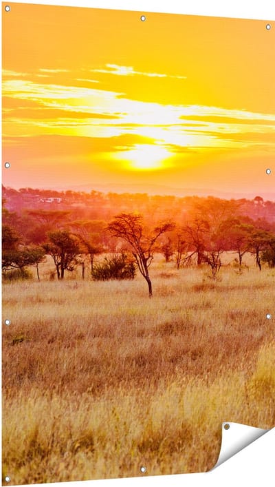 Gards Tuinposter Zonsondergang in de Savanne - 100x150 cm - Tuindoek - Tuindecoratie - Wanddecoratie buiten - Tuinschilderij