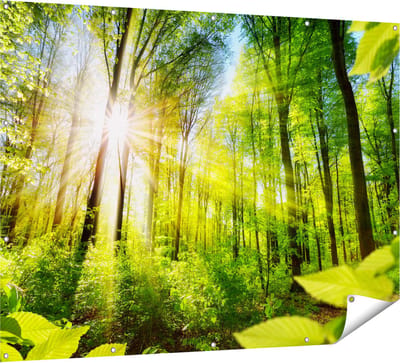 Gards Tuinposter Weg Omringd met Bomen in het Bos - 160x120 cm - Tuindoek - Tuindecoratie - Wanddecoratie buiten - Tuinschilderij