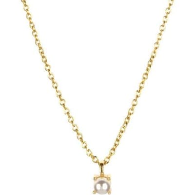 Hiver Argent Sterling 925 Or Zircon 3mm Charme de Luxe Pendentif Collier Ras du Cou Bijoux Mode Femme Bijouterie Fine beige