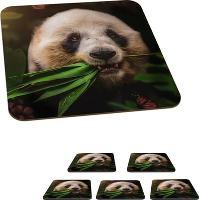 Onderzetters voor glazen - Dieren - Panda - Jungle - 10x10 cm - Glasonderzetters - 6 stuks
