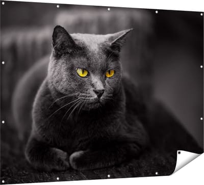 Gards Tuinposter Zwarte Kat met Gele Ogen - 160x120 cm - Tuindoek - Tuindecoratie - Wanddecoratie buiten - Tuinschilderij