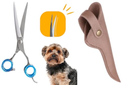 Professor Q – Professionele Hondenschaar – Lichtblauw – 7.5 Inch (19,5 cm) – Up Gebogen Trimschaar – Ideaal voor Langharige Honden – Inclusief Luxe Lederen Etui – Brons