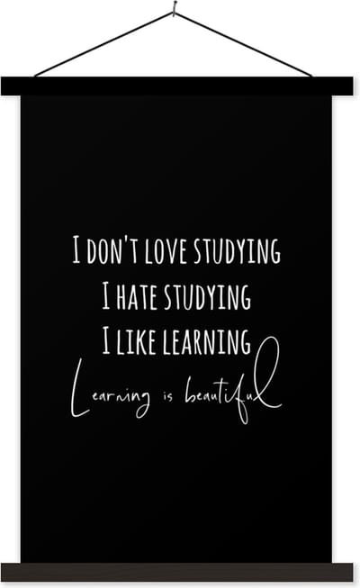 Posterhanger incl. Poster 40x60 cm - Schoolplaat - Quote - Leren - Studeren - Textielposter - Zwarte latten