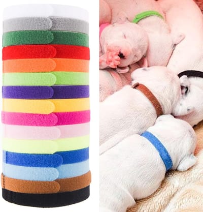 15 Kleuren Puppy ID Halsbanden - Whelping Puppies ID Bands - Dubbelzijdige Zachte Verstelbare Honden Kat Halsbanden