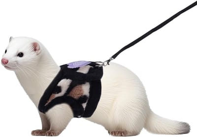 Dailygoody - Harnasje en Leash Set voor Kleine Huisdieren - Comfortabele outdoor accessoires - Perfect voor wandelingen - Leopard Print - Ideaal