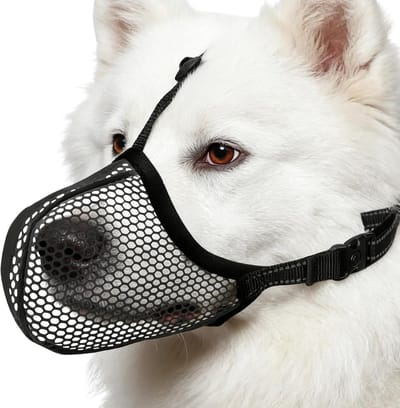 Hond Muilkorf - Veiligheid Neusriem - Comfortabel Wandelen - Reflecterende Strepen - Maat L - Zwart