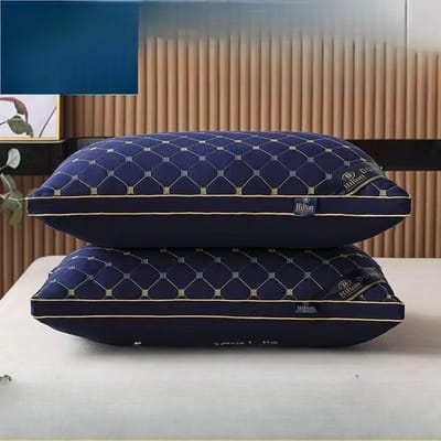 Oreiller en Velours Plume d'Étoile Noyau Simple Dortoir Oreillers Moyens et Hauts et Bas Peuvent Être Lavés Noyau d'Oreiller 48 * 74 [ 7D Filling]