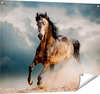 Gards Tuinposter Wilde Paard in het Zand - 100x80 cm - Tuindoek - Tuindecoratie - Wanddecoratie buiten - Tuinschilderij