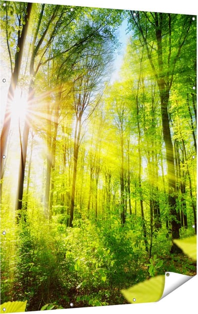 Gards Tuinposter Weg Omringd met Bomen in het Bos - 120x160 cm - Tuindoek - Tuindecoratie - Wanddecoratie buiten - Tuinschilderij