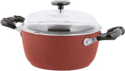 Kookpan - Steelpan met deksel - Koken en Sudderen - Non-stick binnenkant - 20 cm - Rood