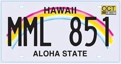Amerikaans Nummerbord Replica Metaal 30x15 cm Staat naar Keuze