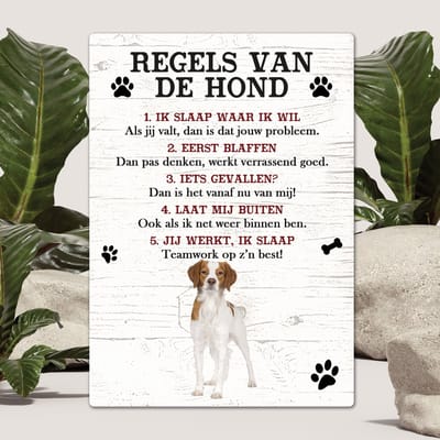 Spreuken - Epagneul Breton - Regels Van De Hond - Spreuken Bordjes - Spreukenbord - Tekstborden - Cadeau - Hondenras