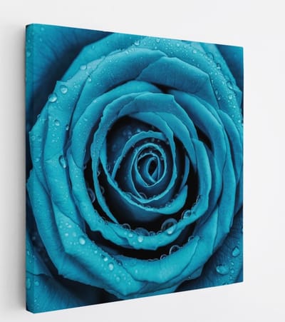Saammp Canvas Schilderij - Blauwe Roos Met Waterdruppels - Natuur - Abstract - 20x20 - Foto op canvas - Wanddecoratie - Muurdecoratie Woonkamer - Kantoor Decoratie