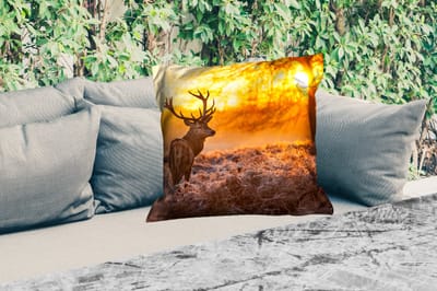 Sierkussen Buiten - Hert - Dieren - Zonsondergang - Winter - Heide - Natuur - 60x60 cm - Weerbestendig