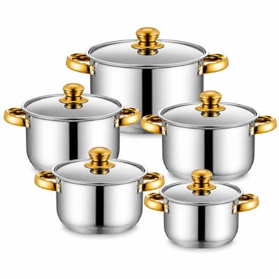 Home & Beyond® 10-delige RVS Pannenset met Deksels – Met Goudkleurige Handgreep – 5 Kookpannen 18/20/22/24/26 cm – Geschikt voor Inductie, Gas, Keramisch & Halogeen – Zilver/Goud