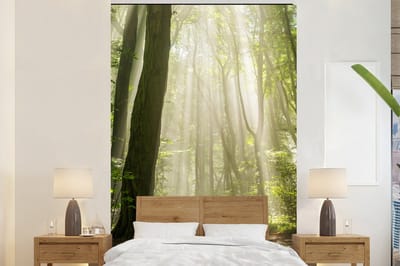 Behang - Fotobehang Bos - Licht - Natuur - Landschap - Breedte 160 cm x hoogte 240 cm