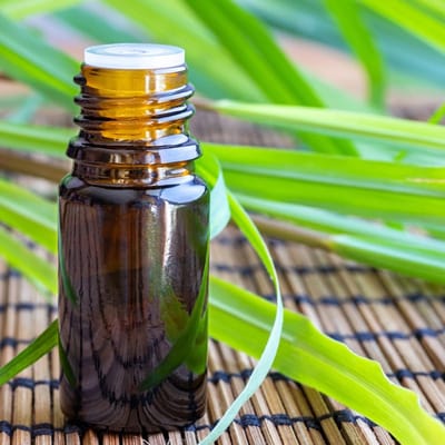 Citronella etherische olie - 30 ml