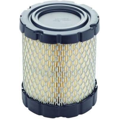 Briggs & stratton luchtfilter (4250)