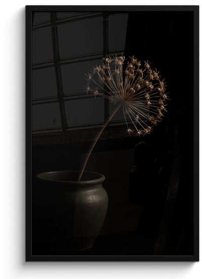 Poster in lijst - Fotolijst 60x90 cm - Posters - Bol - Gedroogd - Vaas - Zwart - Posterlijst zwart - Decoratie - Wanddecoratie woonkamer - Muurdecoratie slaapkamer