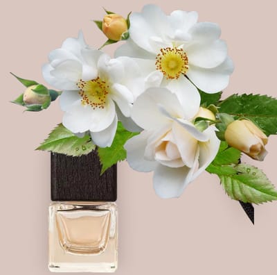 Autoparfum Collectie Wild Essence Sau-age - Car perfume - Ultieme Luxe voor Heren