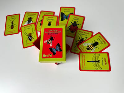 BesFit Insecten bootcampspel kindereditie | Kaartspel | Beweegspel | Buitenspelen