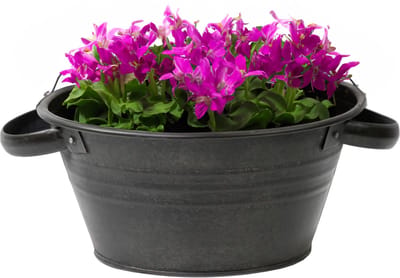 Mega Collections Teil Bloempot/plantenpot - zink - zwart - rond - D40 x H14 cm