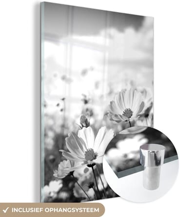 MuchoWow® Glasschilderij 120x160 cm - Schilderij acrylglas - Bloemen - Wei - Paars - Gras - Wit - Wolken - Blauw - Foto op glas - Schilderijen