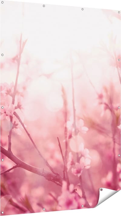 Gards Tuinposter Roze Bloesemboom met Zonneschijn - 120x180 cm - Tuindoek - Tuindecoratie - Wanddecoratie buiten - Tuinschilderij