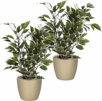 Mica Decorations 2x stuks Ficus kunstplanten - groen/wit - 40 cm - met plantenpot - goud - keramiek - D13.5 en H12.5 cm