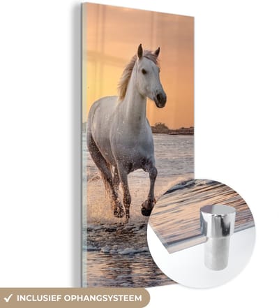 MuchoWow® Glasschilderij 60x120 cm - Schilderij acrylglas - Paarden - Zon - Zee - Strand - Dieren - Foto op glas - Schilderijen