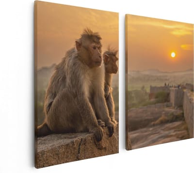 Artaza Canvas Schilderij Tweeluik Twee Apen Bekijken De Zonsondergang - 80x60 - Foto Op Canvas - Canvas Print