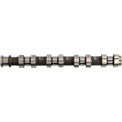Nokkenas  AE CAM929