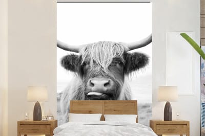 Behang - Fotobehang Dieren - Schotse hooglander - Koe - Zwart - Wit - Breedte 180 cm x hoogte 280 cm