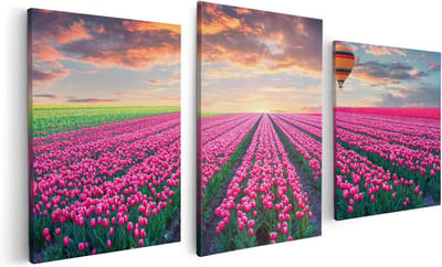 Artaza Canvas Schilderij Drieluik Bloemenveld Met Roze Tulpen - Luchtballon - 120x60 - Foto Op Canvas - Canvas Print