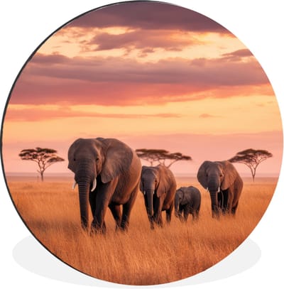 WallCircle - Wandcirkel - Muurcirkel - Groep olifanten - Open vlakte - Zon - Aluminium - Dibond - 30x30 cm - Binnen en Buiten