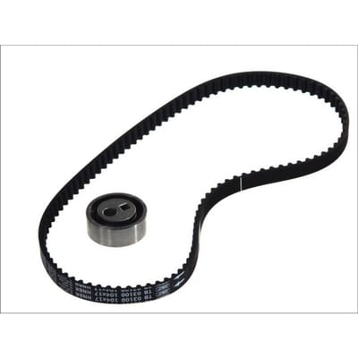 Distributieriemset SKF VKMA 03100