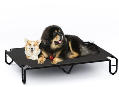 Unyqoos ® Comfortabel Verhoogd Huisdierbed voor Binnen en Buiten, Geschikt voor Grote Honden