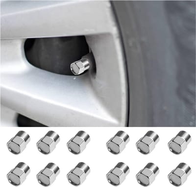 Dailygoods - Dailygoody - Bandenventieldoppen - Aluminium - Universeel - Zilver - Stofkappen voor auto motorfiets fiets vrachtwagens