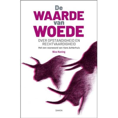 De Waarde Van Woede - Nico Koning