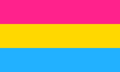 Panseksueel Vlag 150x225cm