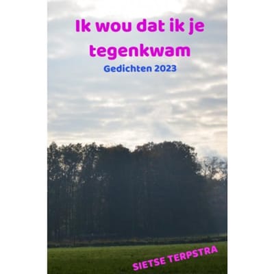 Ik Wou Dat Ik Je Tegenkwam - Sietse Terpstra