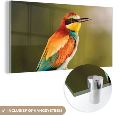 MuchoWow® Glasschilderij 40x20 cm - Schilderij acrylglas - Vogels - Bijeneter - Regenboog - Dieren - Foto op glas - Schilderijen