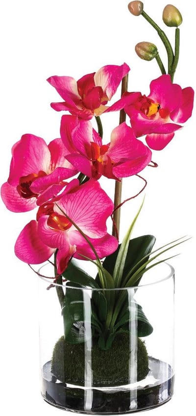 Kunstmatige orchidee in glas, 37 cm
