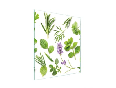 TMK ArtDeko - Snijplank van gehard glas - 45x52 cm - Veelzijdig gebruik - Motief: Planten