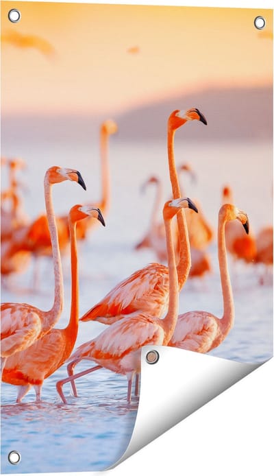 Gards Tuinposter Kudde Flamingo's in het Water - 40x60 cm - Tuindoek - Tuindecoratie - Wanddecoratie buiten - Tuinschilderij