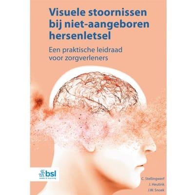 Visuele Stoornissen Bij Niet-Aangeboren Hersenletsel - C. Stellingwerf