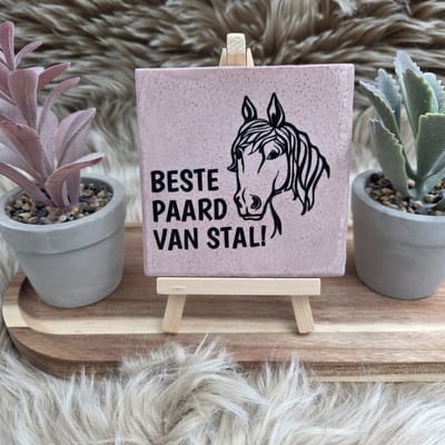 Robuust Wenstegeltje – Beste Paard van Stal – 10x10 cm – Cadeau voor Paardenliefhebber of Tophulp – Wanddecoratie - Trendy nu - Paard – Decoratief Tegeltje met Standaard – Cadeau Idee