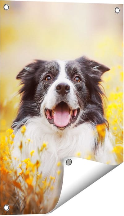 Gards Tuinposter Blije Hond tussen de Bloemen - 40x60 cm - Tuindoek - Tuindecoratie - Wanddecoratie buiten - Tuinschilderij